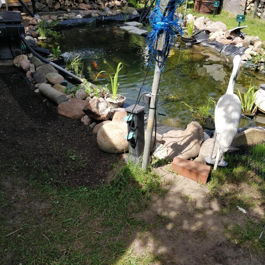 Gaestehaus Am Teich Raben Steinfeld 외부 사진