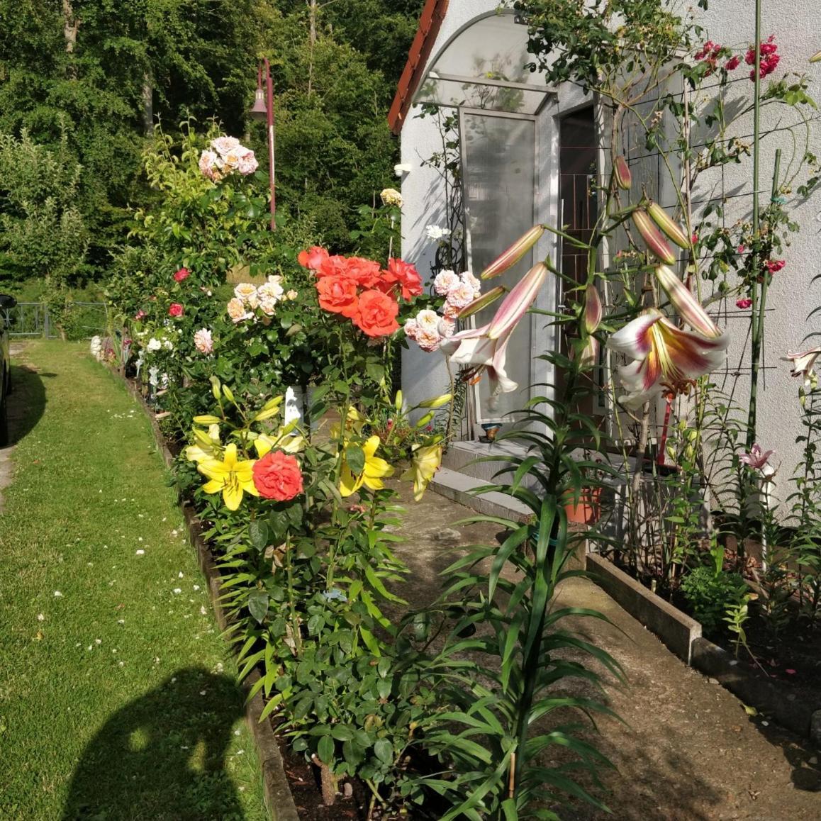 Gaestehaus Am Teich Raben Steinfeld 외부 사진